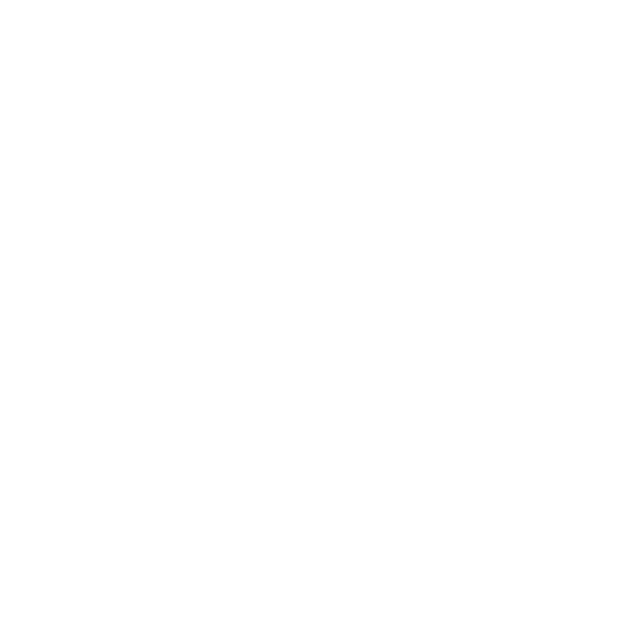 Net Service