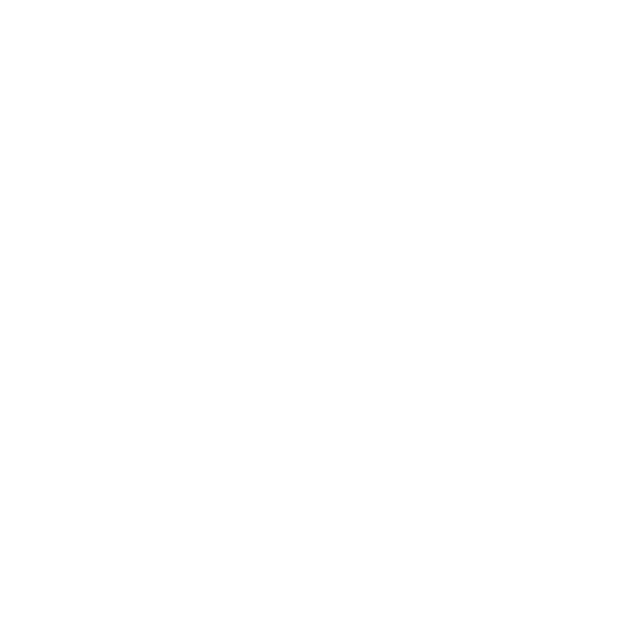 CIOnet