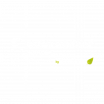 System Solutions